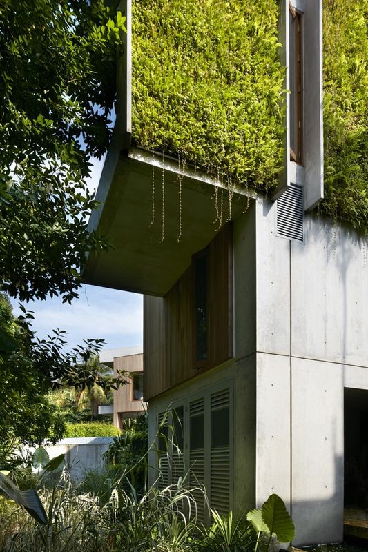 Façade étage végétalisée - Astrid-Hill-House par Tsao & McKown Architects - Singapour