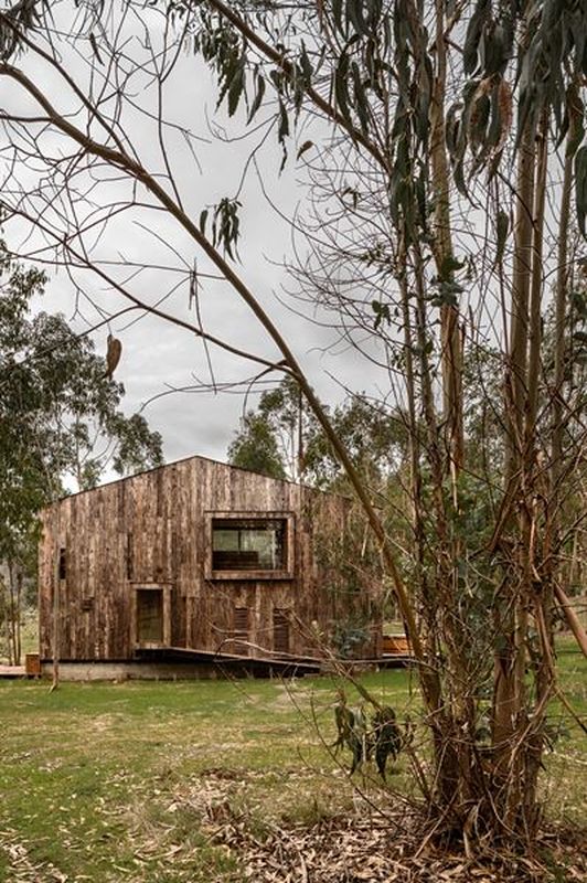 jardin - Cabana-Tunquen par DX Arquitectos - Valparaiso, Chili