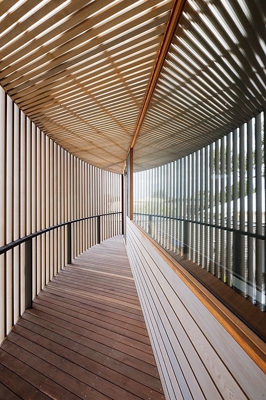 patio extérieur - maison bois contemporaine par Jackson Clements Burrows - Barwon Heads - Australie - Photos John Gollings