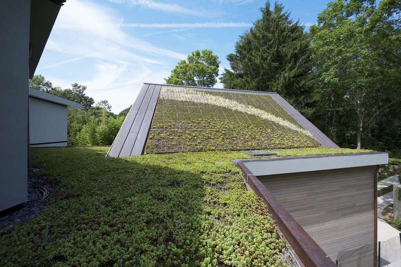 toiture végétalisée - Sayres House and Hanging Gardens par Maziar Behrooz Architecture - East Hampton, Usa