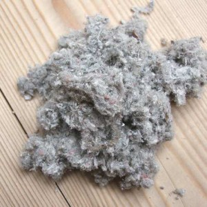 ouate de cellulose