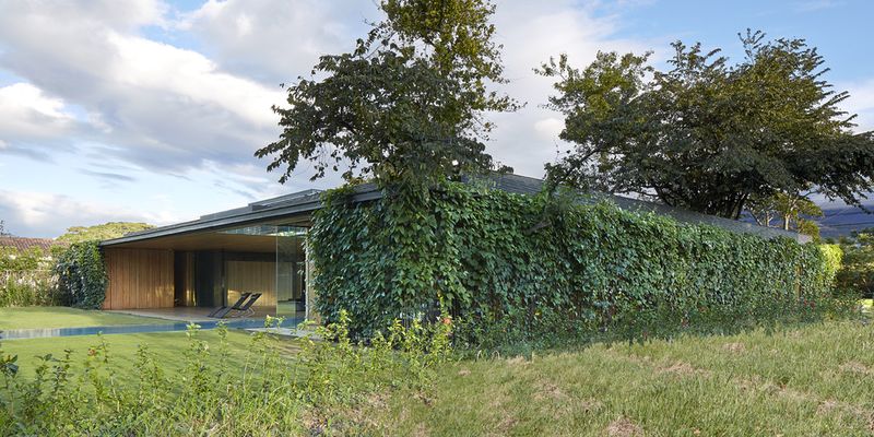 jardin & façade végétalisée - inout-house par Joan Puigcorbé - Santa Ana, Costa Rica