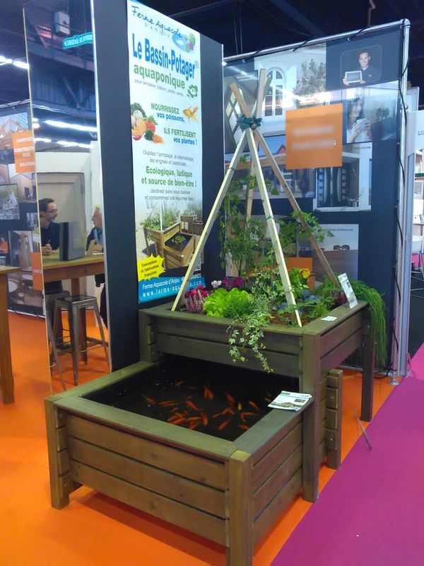 jardin potager aquaponique