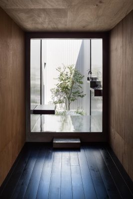 Form-Kimura-Japon-4